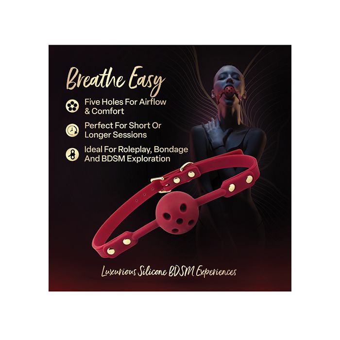 Blush Temptasia Ardor Ball Gag - Red